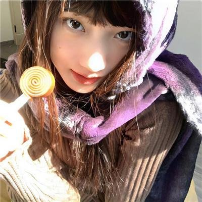 蜘蛛与郁金香